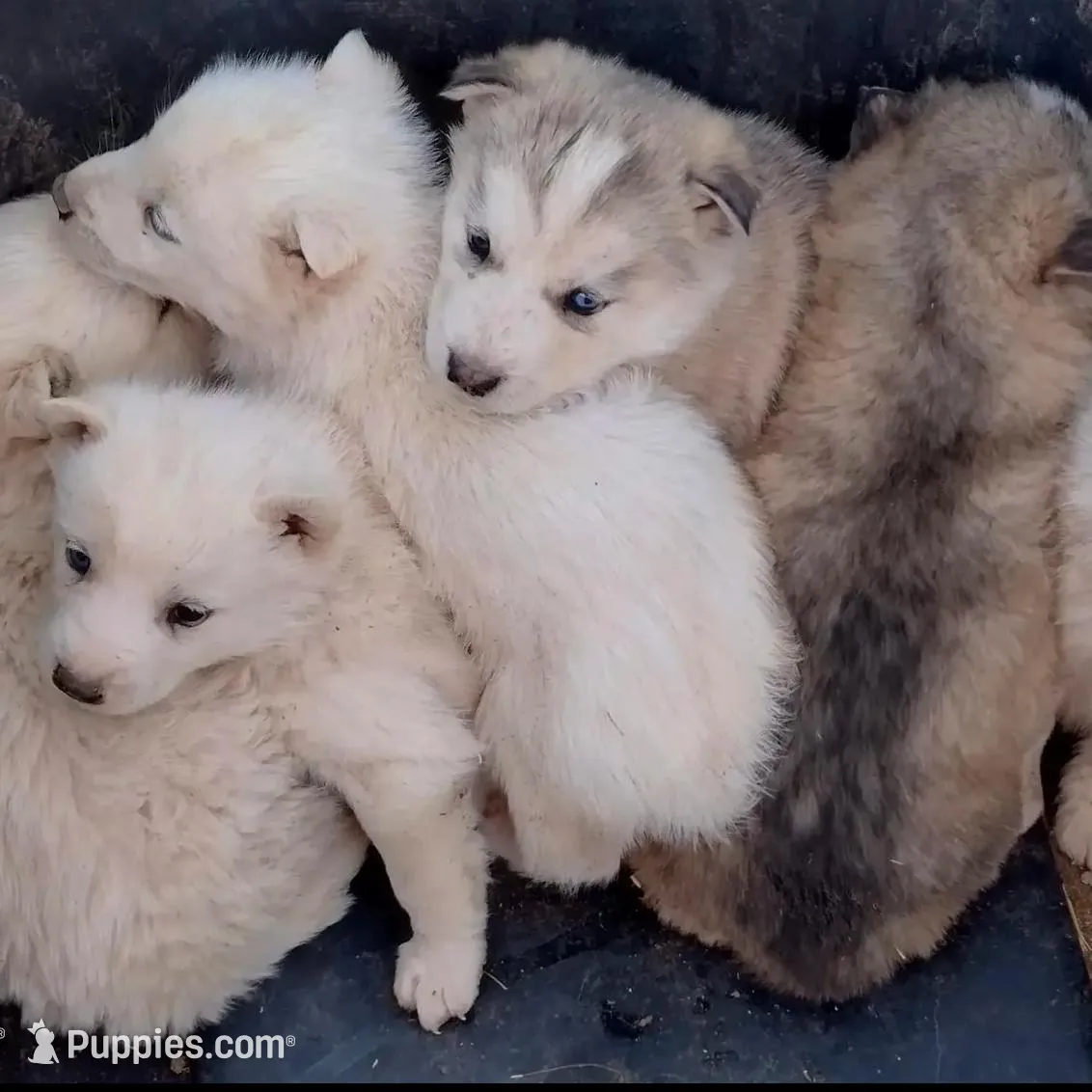 processed/7ef65416-babc-44bc-a972-572382296252/facility/1139155a-f86d-41ba-ba2c-09fd17b916ee