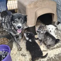 processed/7ef65416-babc-44bc-a972-572382296252/facility/1b4fb8a9-2bcd-42ca-8ef8-ec86ba7d8be5