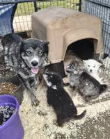 processed/7ef65416-babc-44bc-a972-572382296252/facility/1b4fb8a9-2bcd-42ca-8ef8-ec86ba7d8be5