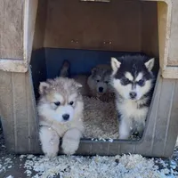 processed/7ef65416-babc-44bc-a972-572382296252/facility/226d2eb4-7405-40e1-8a7a-44ee2561a20b