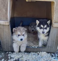 processed/7ef65416-babc-44bc-a972-572382296252/facility/226d2eb4-7405-40e1-8a7a-44ee2561a20b