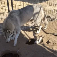 processed/7ef65416-babc-44bc-a972-572382296252/facility/270e537f-2a67-4392-9b91-c18595e53c80