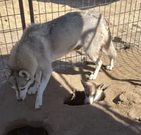 processed/7ef65416-babc-44bc-a972-572382296252/facility/270e537f-2a67-4392-9b91-c18595e53c80