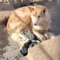 processed/7ef65416-babc-44bc-a972-572382296252/facility/570c7672-602d-4dab-8f27-2f36ba5a8ac2