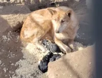 processed/7ef65416-babc-44bc-a972-572382296252/facility/570c7672-602d-4dab-8f27-2f36ba5a8ac2