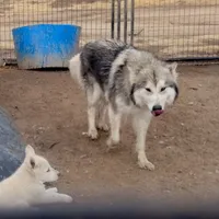 processed/7ef65416-babc-44bc-a972-572382296252/facility/72192919-d02b-49a7-a28a-67473a1a738e