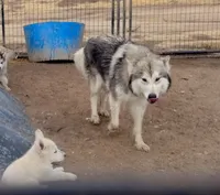 processed/7ef65416-babc-44bc-a972-572382296252/facility/72192919-d02b-49a7-a28a-67473a1a738e