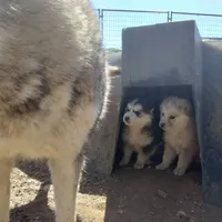 processed/7ef65416-babc-44bc-a972-572382296252/facility/7e3261b1-b526-4d40-806a-a74138782efe