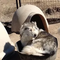 processed/7ef65416-babc-44bc-a972-572382296252/facility/8fa67088-5f75-4e31-ab68-5ce1836f4d7b