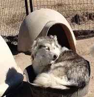 processed/7ef65416-babc-44bc-a972-572382296252/facility/8fa67088-5f75-4e31-ab68-5ce1836f4d7b