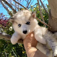 processed/7ef65416-babc-44bc-a972-572382296252/facility/a5f483dd-8cdd-4e3e-99c1-63b07e362f07