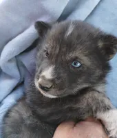 processed/7ef65416-babc-44bc-a972-572382296252/listing/283486ad-43f7-4d7e-ac2b-aa5ababcd996/79372518-e0e9-497f-8a78-da24670a6b68