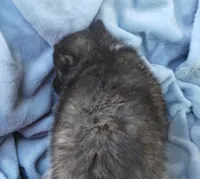 processed/7ef65416-babc-44bc-a972-572382296252/listing/283486ad-43f7-4d7e-ac2b-aa5ababcd996/95a1a99d-dde6-4651-ba6e-36b9d4e7fefd