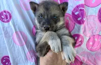 processed/7ef65416-babc-44bc-a972-572382296252/listing/66cb859d-79b4-4552-9636-d7771d3ea755/408127df-8b58-491b-8c71-9ed0ff2eefeb