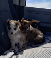 processed/7ef65416-babc-44bc-a972-572382296252/listing/66cb859d-79b4-4552-9636-d7771d3ea755/53807c8c-2db6-4116-b060-697956f6bda9