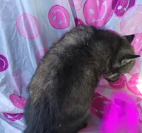 processed/7ef65416-babc-44bc-a972-572382296252/listing/66cb859d-79b4-4552-9636-d7771d3ea755/79ebf82e-8662-44e3-b8de-1d5d0fa91c2c