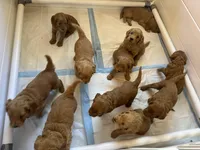 processed/7f01d2d4-92b1-476e-a62f-20a298447272/facility/1fb72362-9ab6-47f3-9811-d8bb70a722ab