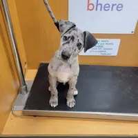 processed/7f02bf27-444d-437c-8a4b-c82818b05664/facility/0d148ece-6619-4171-88f8-f8bf96a215ce