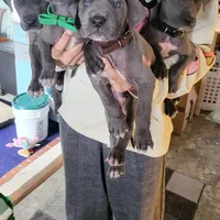 processed/7f02bf27-444d-437c-8a4b-c82818b05664/facility/3dd3d335-5794-410d-bd11-abfae1fc5f7c