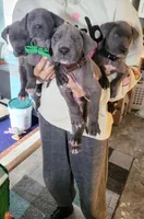 processed/7f02bf27-444d-437c-8a4b-c82818b05664/facility/3dd3d335-5794-410d-bd11-abfae1fc5f7c