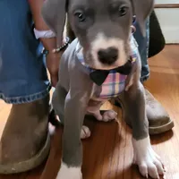 processed/7f02bf27-444d-437c-8a4b-c82818b05664/facility/42301d64-3071-4a5a-80b0-c40d7c00253e