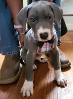 processed/7f02bf27-444d-437c-8a4b-c82818b05664/facility/42301d64-3071-4a5a-80b0-c40d7c00253e