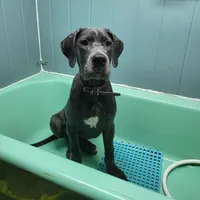 processed/7f02bf27-444d-437c-8a4b-c82818b05664/facility/83bbb058-8e6c-4f17-ba22-8de56c576c8a