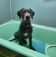 processed/7f02bf27-444d-437c-8a4b-c82818b05664/facility/83bbb058-8e6c-4f17-ba22-8de56c576c8a