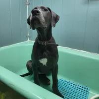 processed/7f02bf27-444d-437c-8a4b-c82818b05664/facility/be8adbee-c142-4afe-80ee-6cb41b32b63a