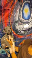 CLARA, a female Great Dane for sale in Baltimore, MD – 3 of 5