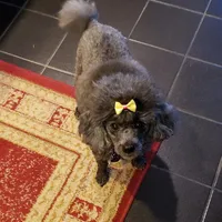 processed/7f07fac5-aa27-4c23-abf0-d30549f77af6/facility/64f76bca-82b7-423a-afdb-a05f588db1d3