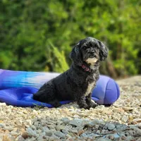 processed/7f07fac5-aa27-4c23-abf0-d30549f77af6/facility/6d245280-4d1d-4e92-8c5d-b2af593914a9