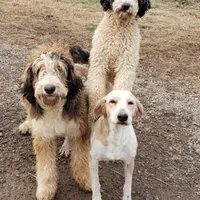 processed/7f07fac5-aa27-4c23-abf0-d30549f77af6/facility/7734700d-fe49-4046-80f0-bcee23398a9e