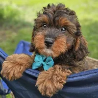 processed/7f07fac5-aa27-4c23-abf0-d30549f77af6/facility/8e559697-94fc-4c68-8b71-9ab7cb798e80