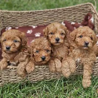 processed/7f07fac5-aa27-4c23-abf0-d30549f77af6/facility/c1f1f650-1bfb-4ced-87c0-879988f33efb