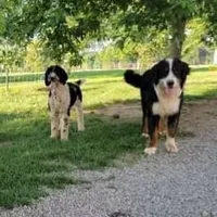 processed/7f07fac5-aa27-4c23-abf0-d30549f77af6/facility/d21140e7-278b-40ac-b53b-d1bd0ed35bcd