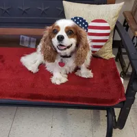 processed/7f07fac5-aa27-4c23-abf0-d30549f77af6/facility/d9e0069c-5b06-45a6-99d9-9d25af9b3fe4