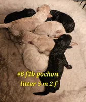 processed/7f07fac5-aa27-4c23-abf0-d30549f77af6/listing/0595b4ce-180a-4fc4-bc4e-e9e647125681/5947f626-0c9f-43f8-9b97-2a27dff963cb