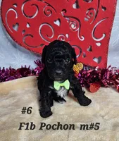 processed/7f07fac5-aa27-4c23-abf0-d30549f77af6/listing/0595b4ce-180a-4fc4-bc4e-e9e647125681/64a0ceca-2152-4688-8acd-437f7e996197