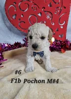 processed/7f07fac5-aa27-4c23-abf0-d30549f77af6/listing/4803e79e-9b15-4e50-bdc8-cd8d6c94177d/569ae378-7fe2-41e7-89a2-8a43ad700dbf