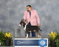 processed/7f0fa155-48fc-4603-ab86-5825409da97c/listing/1f6dee93-bbab-46c3-8cc7-28514a511239/15666932-17f2-4217-86ee-8a3c1982bcea