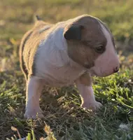 processed/7f0fa155-48fc-4603-ab86-5825409da97c/listing/1f6dee93-bbab-46c3-8cc7-28514a511239/35eb273b-859e-4137-98c5-eafc5a03aebe