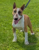 processed/7f0fa155-48fc-4603-ab86-5825409da97c/listing/1f6dee93-bbab-46c3-8cc7-28514a511239/4b0d6c93-6774-4986-a9aa-af7e12d67c5b