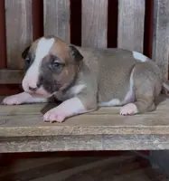 processed/7f0fa155-48fc-4603-ab86-5825409da97c/listing/27f9c870-34c1-46c9-be6a-632a31622e7b/03f72cae-eddc-4fd5-a737-cc7ffb4b92f8