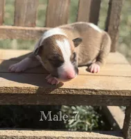 processed/7f0fa155-48fc-4603-ab86-5825409da97c/listing/27f9c870-34c1-46c9-be6a-632a31622e7b/21fccdd1-9b2e-4852-b36e-d5603d551b17