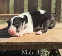 processed/7f0fa155-48fc-4603-ab86-5825409da97c/listing/4721e0d2-5078-4e62-a5b6-910a12fd0621/305b6174-9dfb-42f9-be8d-c9995eb3a065