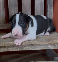 processed/7f0fa155-48fc-4603-ab86-5825409da97c/listing/4721e0d2-5078-4e62-a5b6-910a12fd0621/44295bc6-f325-4fa3-bb89-fead94622999