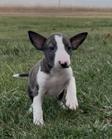 processed/7f0fa155-48fc-4603-ab86-5825409da97c/listing/64373c52-ec09-421b-863f-fafc37dd452e/ad330ffd-fb6f-4b8e-8ee5-7b5e9479514a