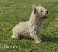 processed/7f0fa155-48fc-4603-ab86-5825409da97c/listing/7416ef59-5bab-476a-9a9b-177d72d409a0/59fb7d5d-959b-4ddc-bc41-d5d04ddc0c2d