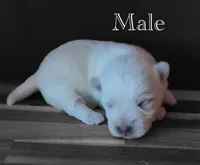 processed/7f0fa155-48fc-4603-ab86-5825409da97c/listing/7416ef59-5bab-476a-9a9b-177d72d409a0/b9c094cb-215b-4c55-b10e-fb8b9c67312a